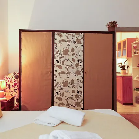 Casa Pepe Pisa